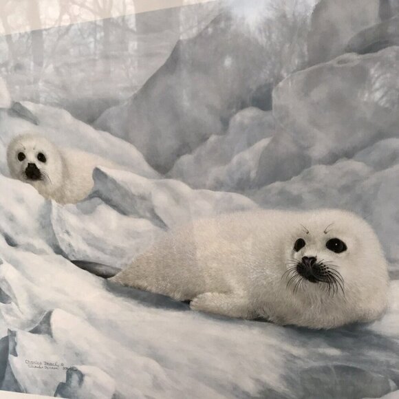 Charles Frace "Peace on Ice" Hand Signed & Numbered Print Autographed Harp Seals - Picture 7 of 11